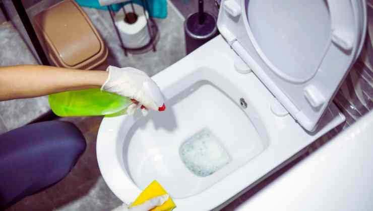 Donna che pulisce wc 