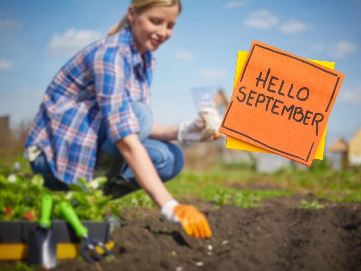 seminare settembre