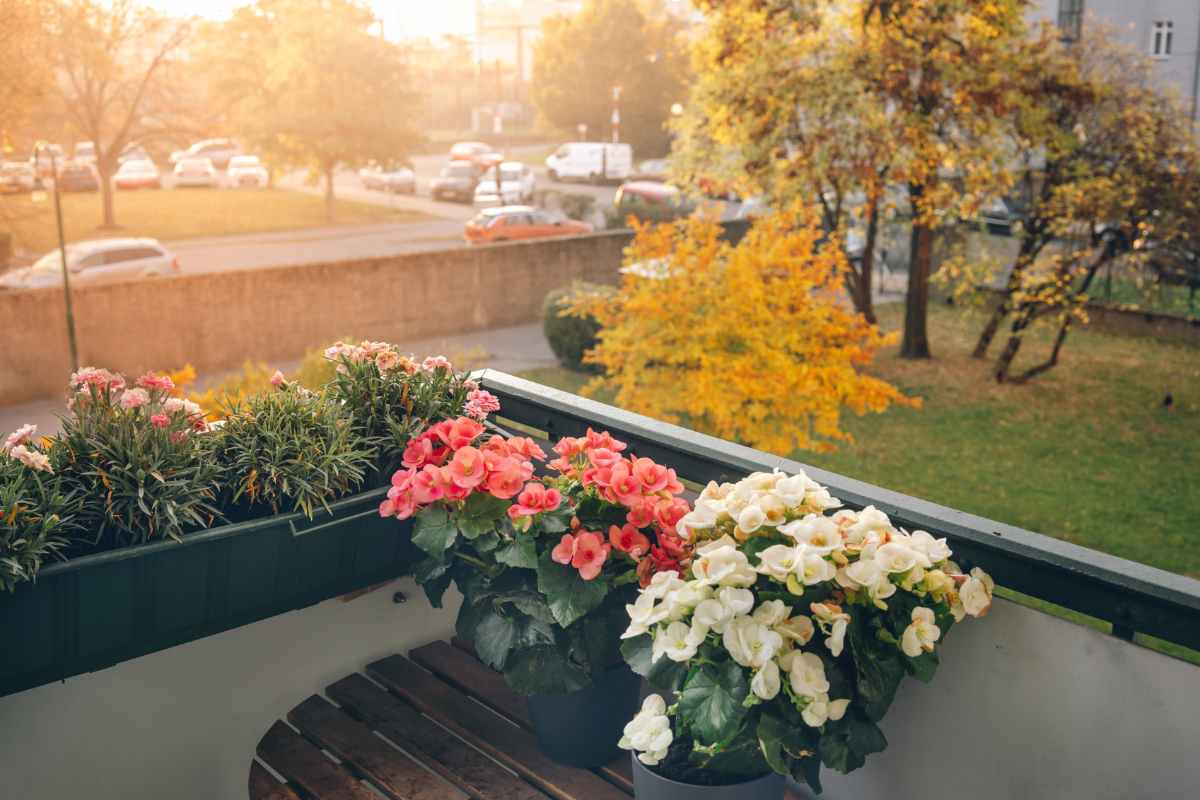 terrazzo davanti a un giardino in autunno