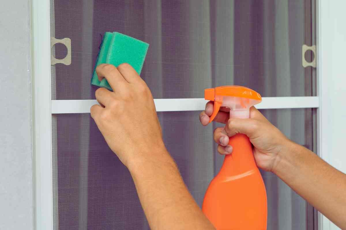 spugnetta e spray su vetro finestra