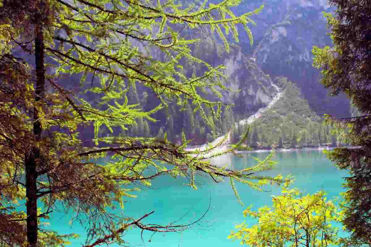 trentino