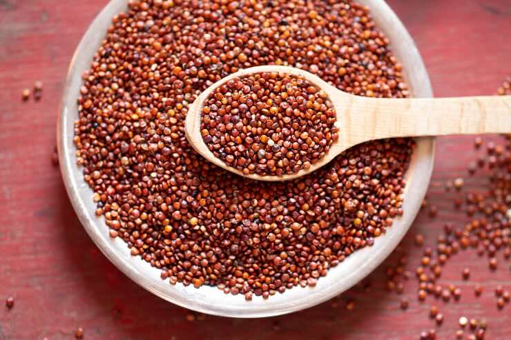 quinoa rossa 