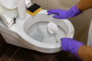 Pulire WC