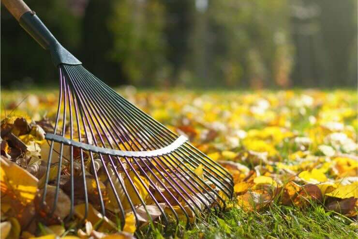 Spazzare foglie autunno 