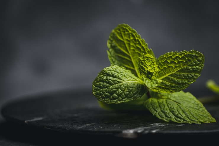menta
