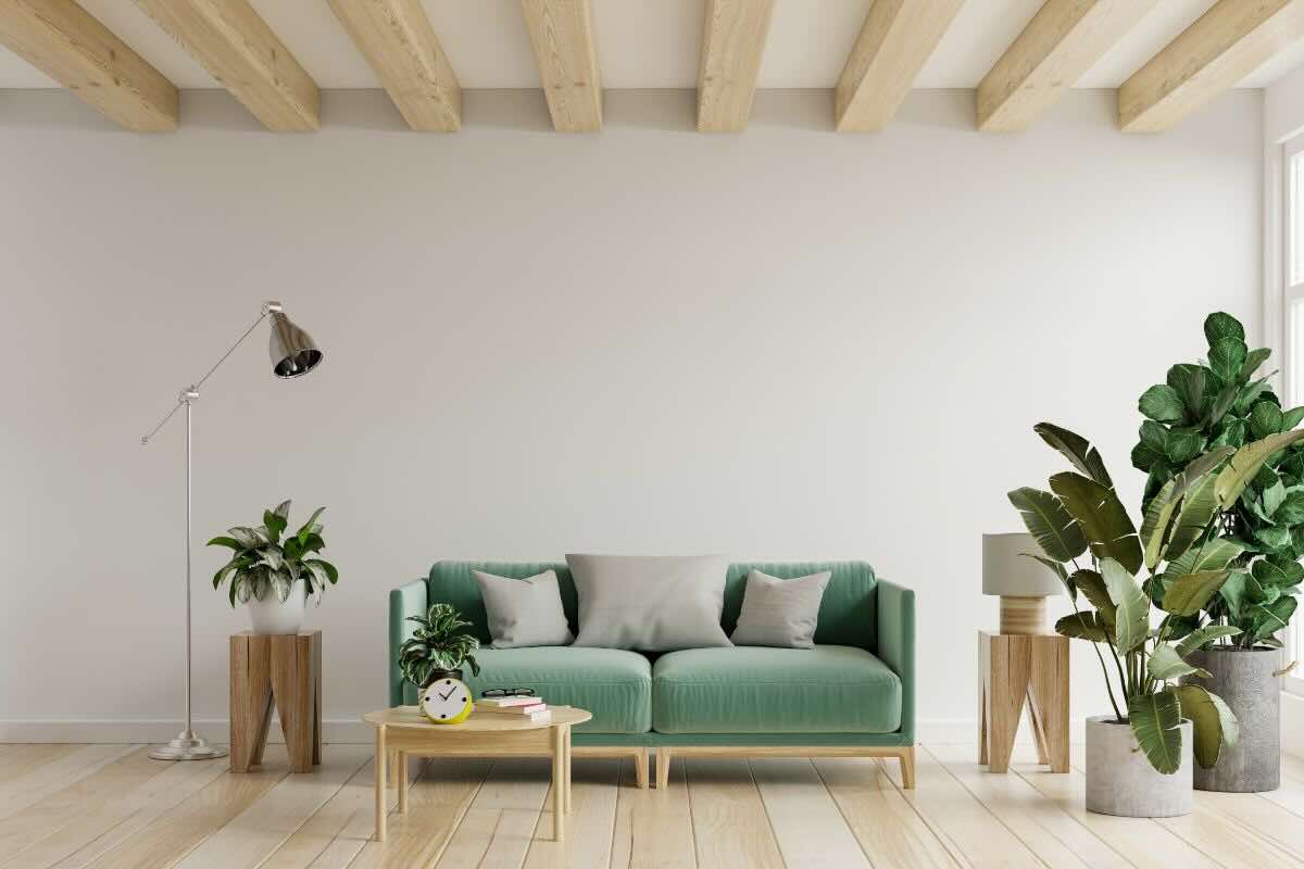 Piante in casa
