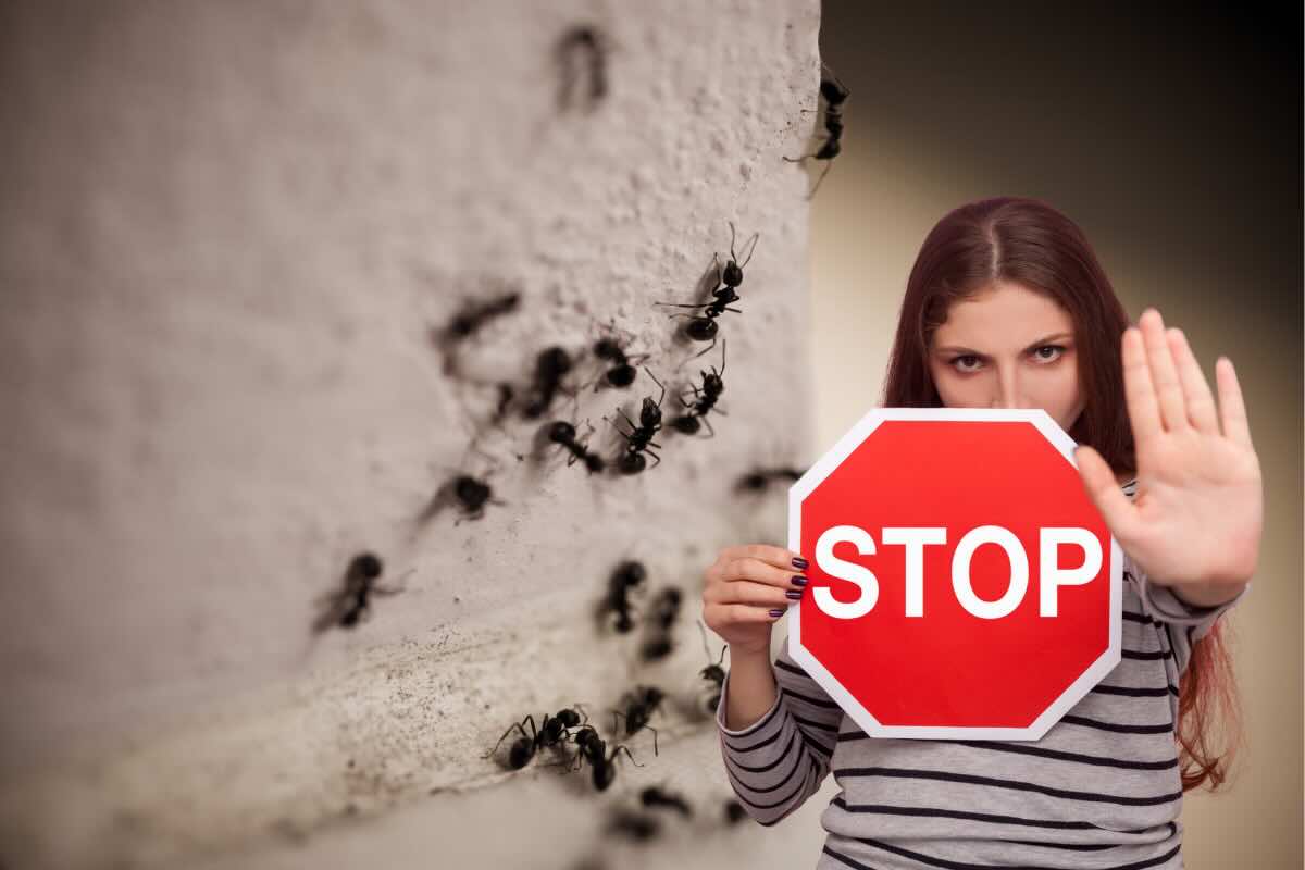 donna con segnale stop e formiche