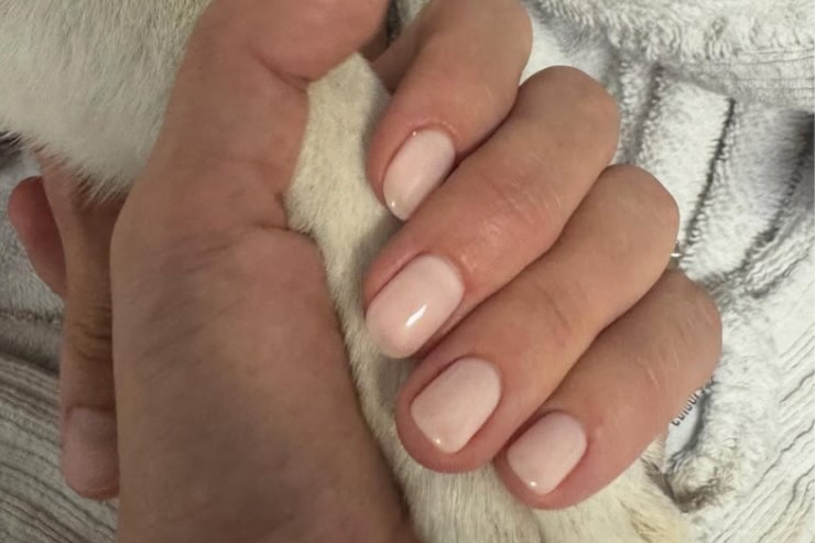 mano di Cecilia Rodriguez con zampa cane 